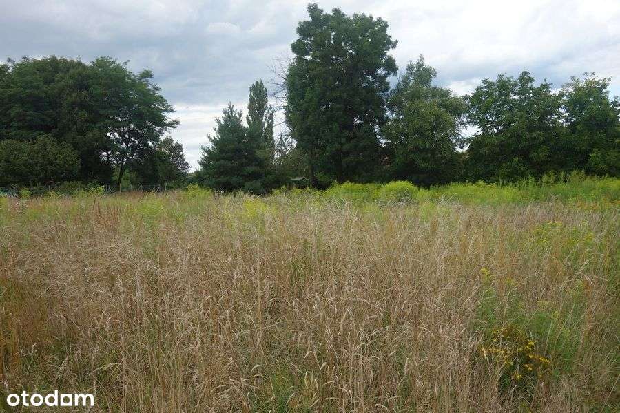 Spalice / Budowlana / Zaciszne Miejsce - Pełny obrazek: 4/8