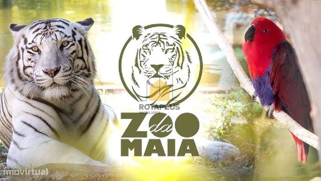 Moradia com terreno Castêlo da Maia-25