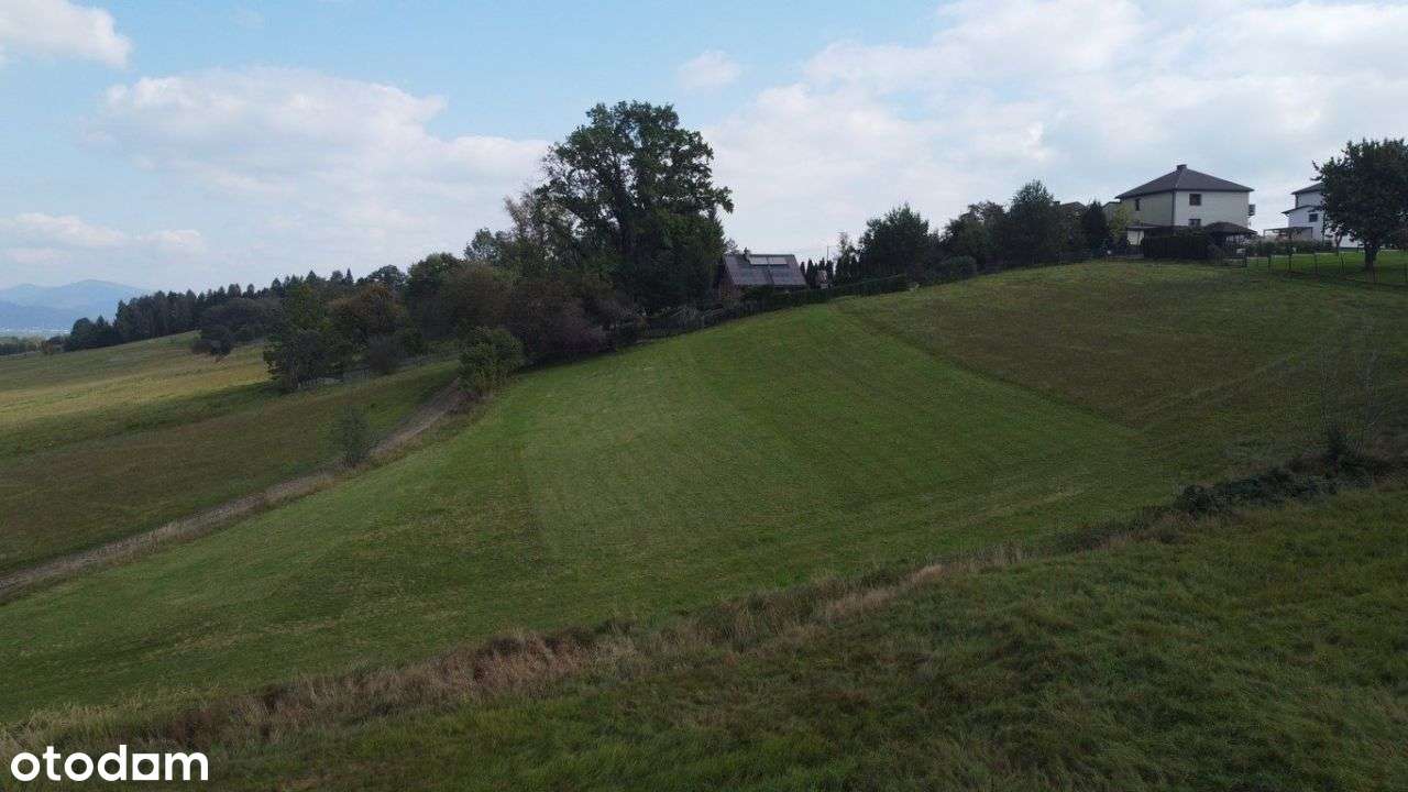 Oferta Na Wyłączność - Dostępna Tylko U Nas-1