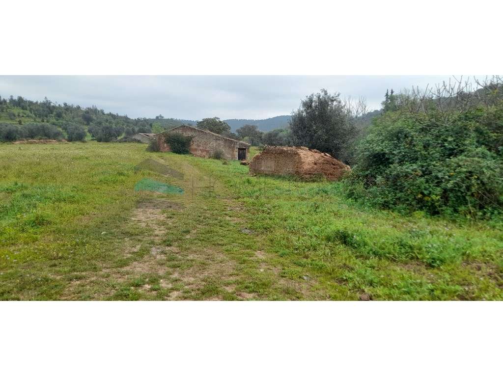 Terreno rústico - Odemira - Grande imagem: 5/8