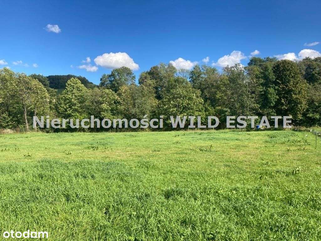 Działka, 4 823 m², Baligród - Pełny obrazek: 5/9