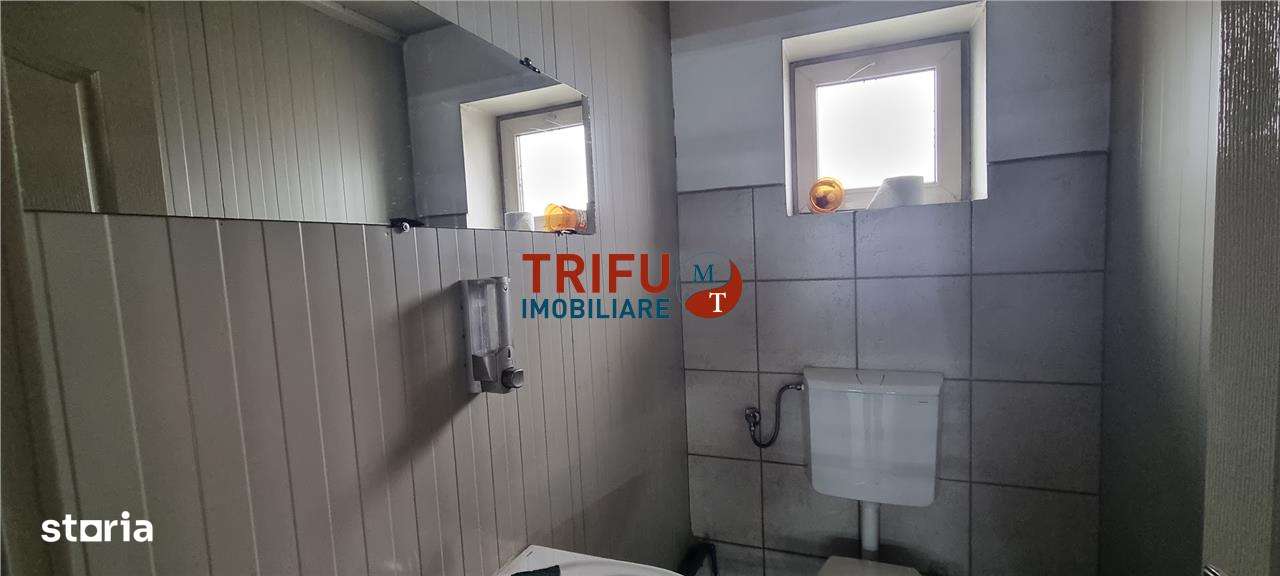 Hala de 300 mp de inchiriat Alba Iulia cu 1080 mp teren - Imagine principală: 3/10