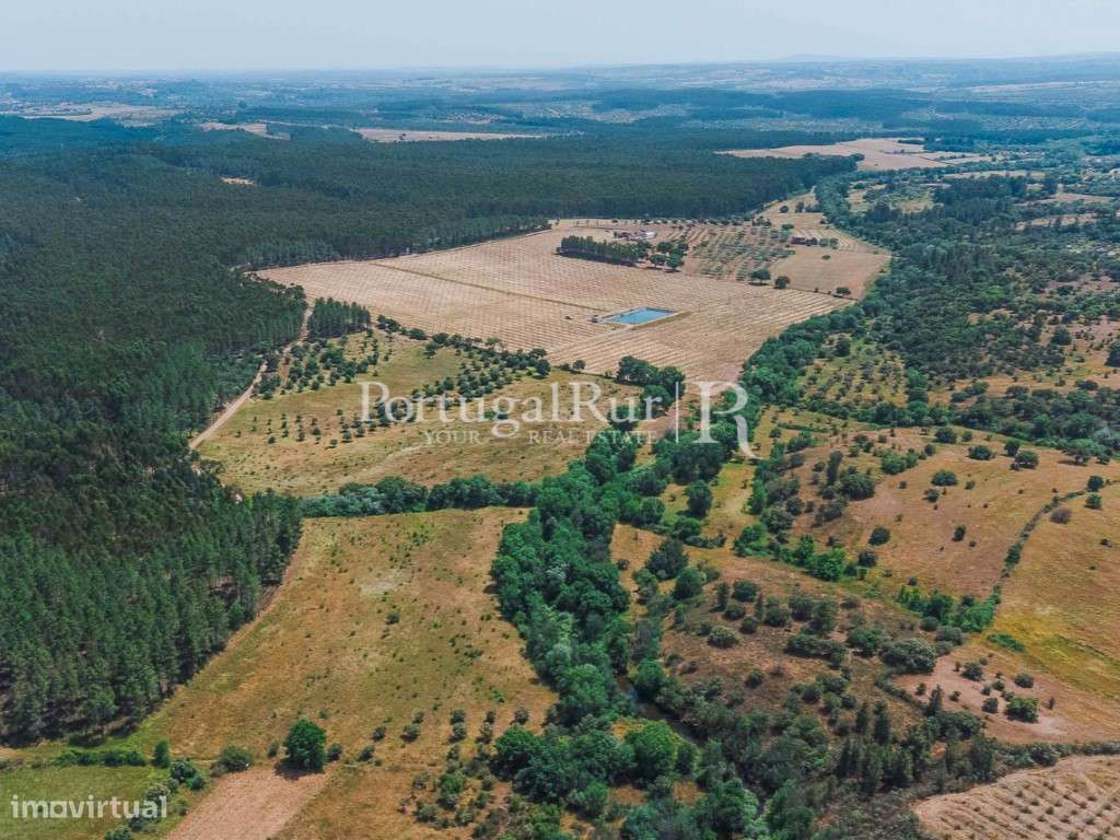 Quinta Exclusiva de Pistacho - 12 Hectares | Investimento Agrícola ... - Grande imagem: 3/19