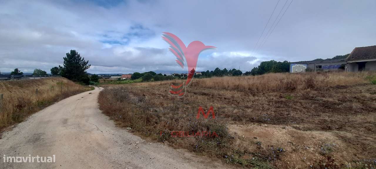 Terreno Industrial - Grande imagem: 3/31