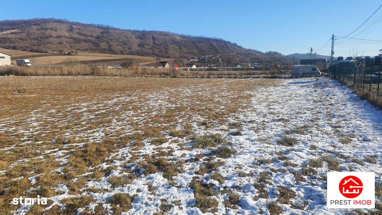 Teren Ivanesti-Livezeni 4300 mp - Imagine principală: 5/7