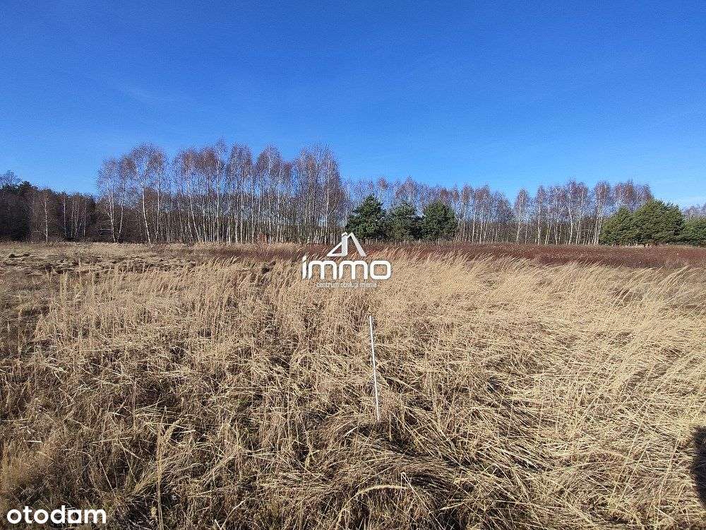 DRĄGÓW - działka budowlana na granicy lasu - Pełny obrazek: 4/16