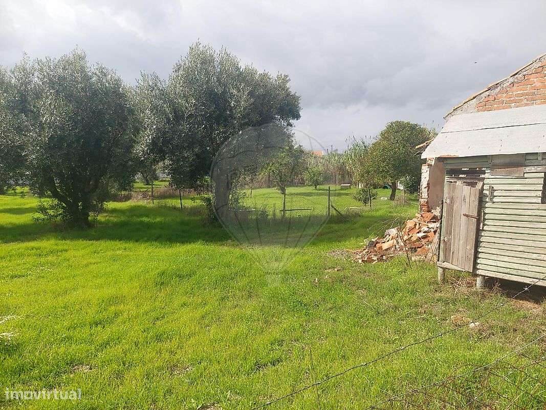 Quinta  para venda - Grande imagem: 4/20