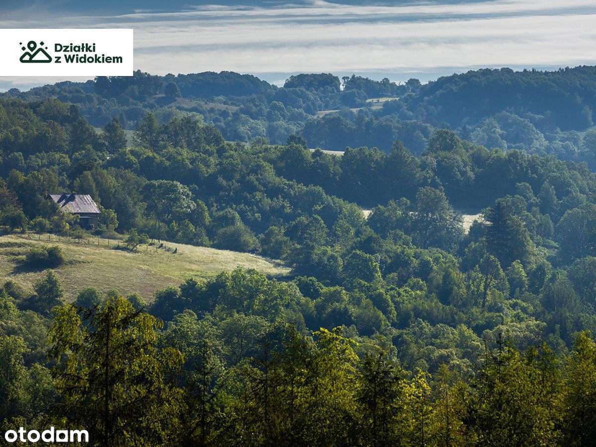 Bystrzyca - działka rolno-budowlana w Krainie Wygasłych Wulkanów - Pełny obrazek: 4/5
