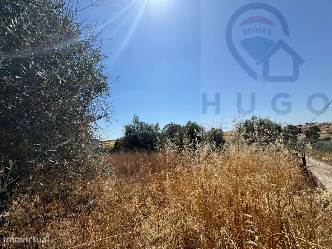 Quinta com 3000m² em Nossa Senhora de Machede-27