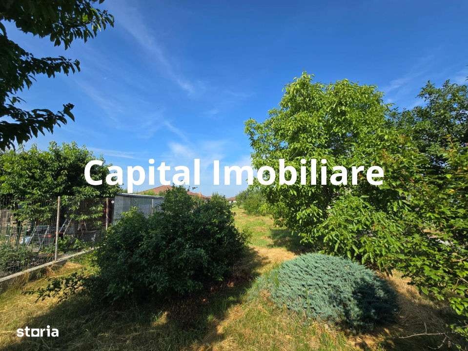 Casa + teren 2000 m2 de vanzare, sat Sasar, zona foarte linistita - Imagine principală: 5/8