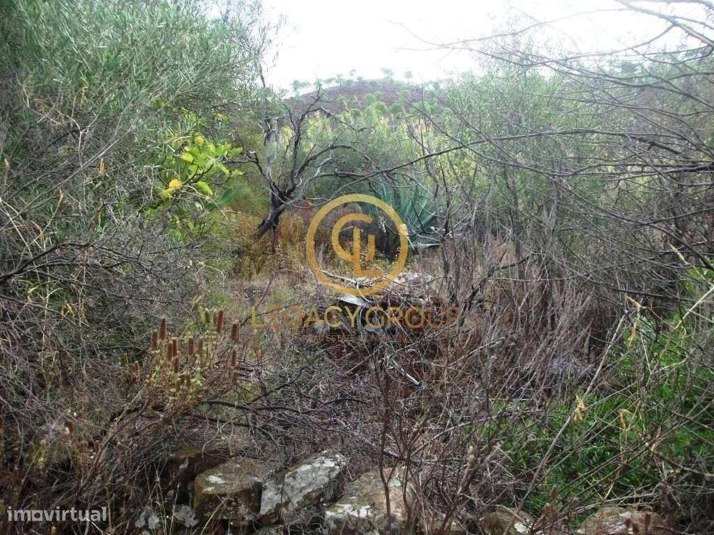 Terreno rústico no Barranco Maria Galega – Alcoutim-7