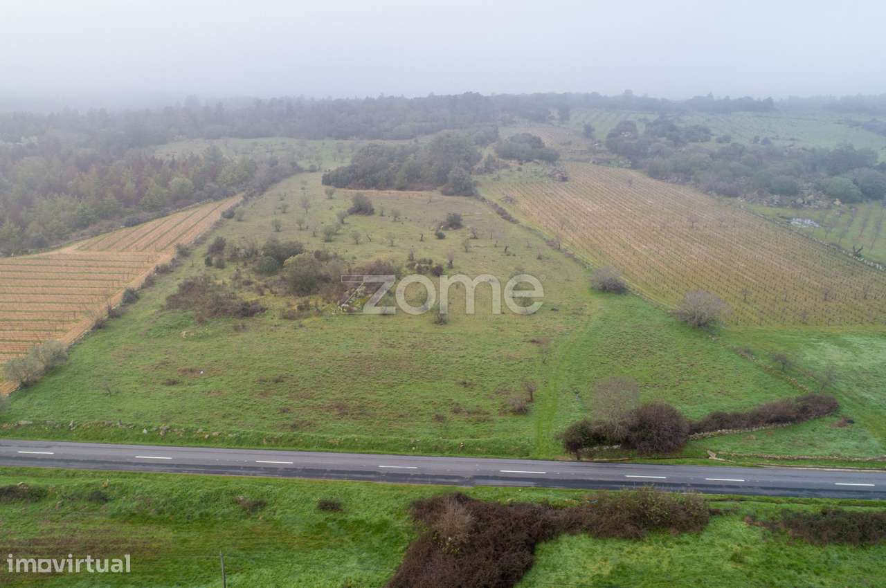 Terreno agrícola com 4 hectares, Vila Nova de Fôz Coa - Grande imagem: 5/15