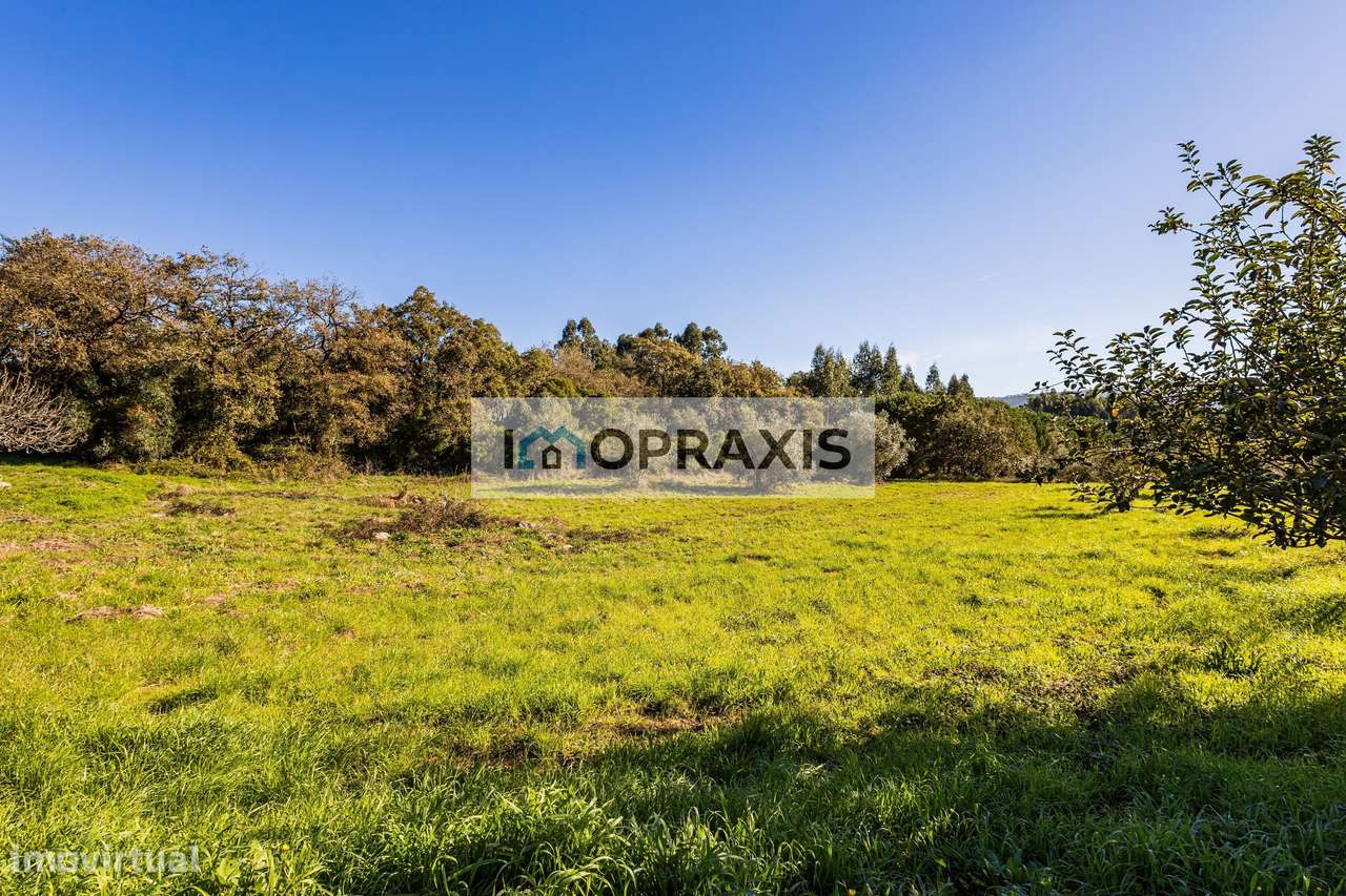 Moradia para reabilitação e terreno em Pedreiras, Porto de Mós-17