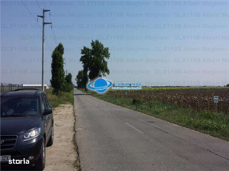 Vanzare Teren Intravilan  Herasti Giurgiu 2 HA - Imagine principală: 3/7