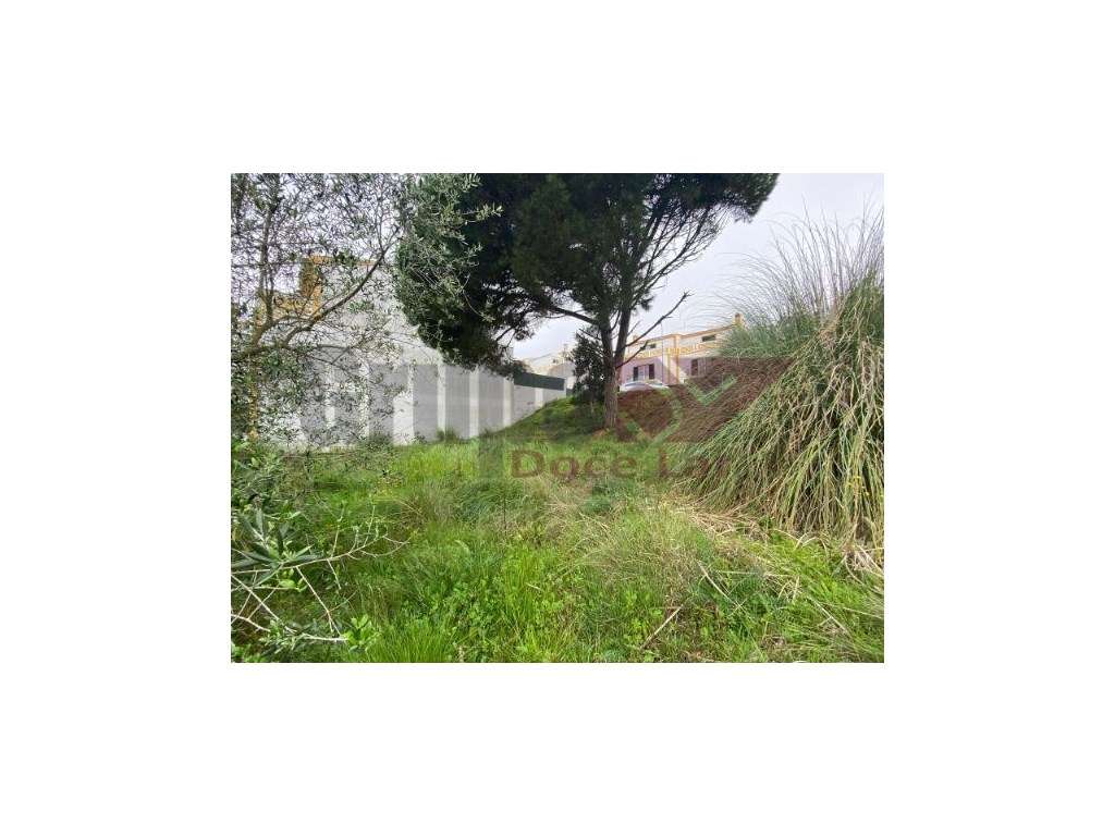 Terreno para Construção em Sesimbra - EXCELENTE OPORTUNIDADE - Grande imagem: 5/7