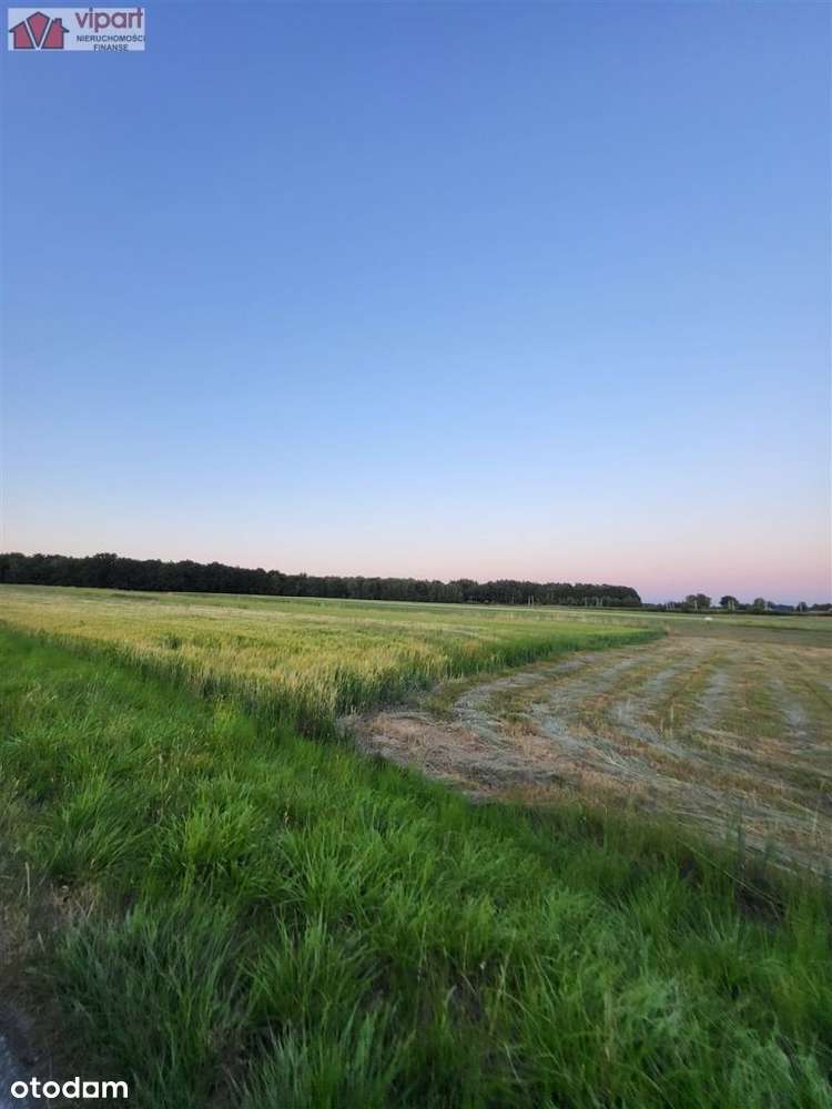 Działka, 17 729 m², Tychy-3