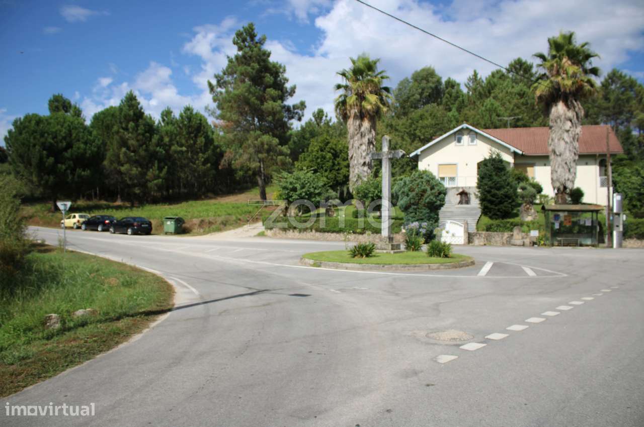 Terreno com pinhal e e mato a 15 minutos de Viseu - Grande imagem: 3/35