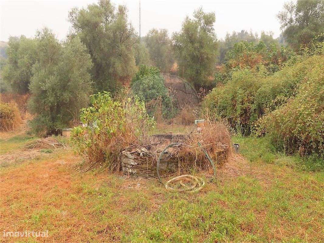 Quinta  para venda - Grande imagem: 5/25