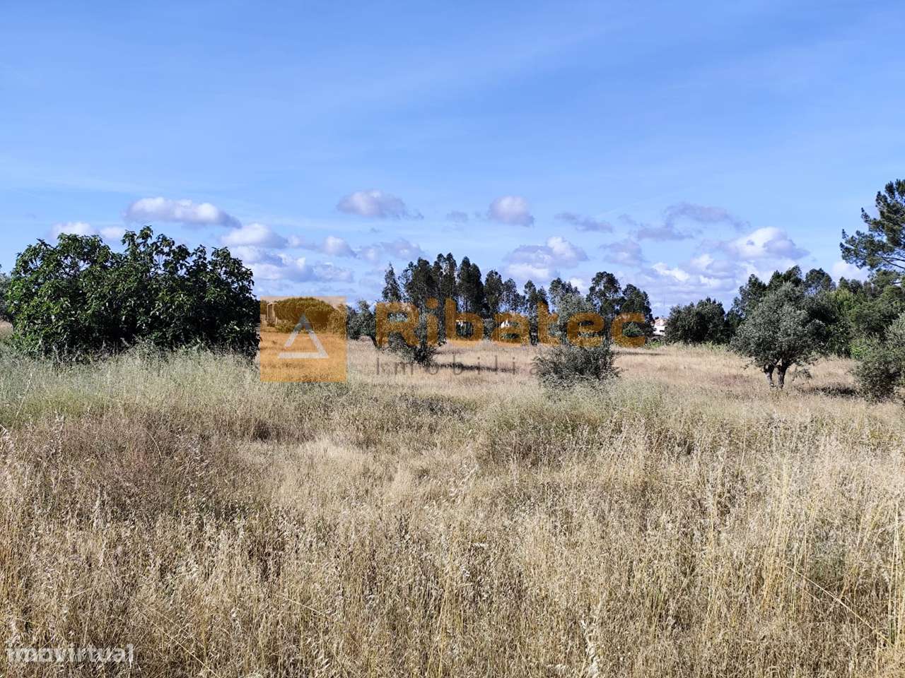 Terreno nas Fazendas da Arriça, Branca-3