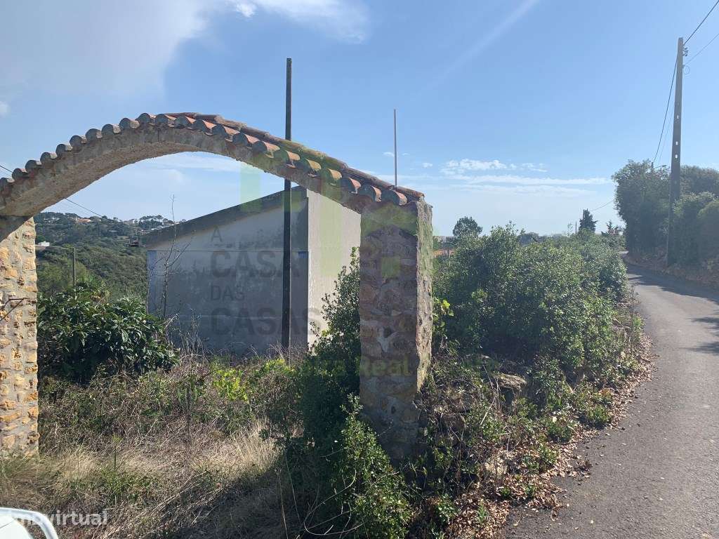 Terreno - Ericeira 6 km , A Casa das Casas - Grande imagem: 4/16