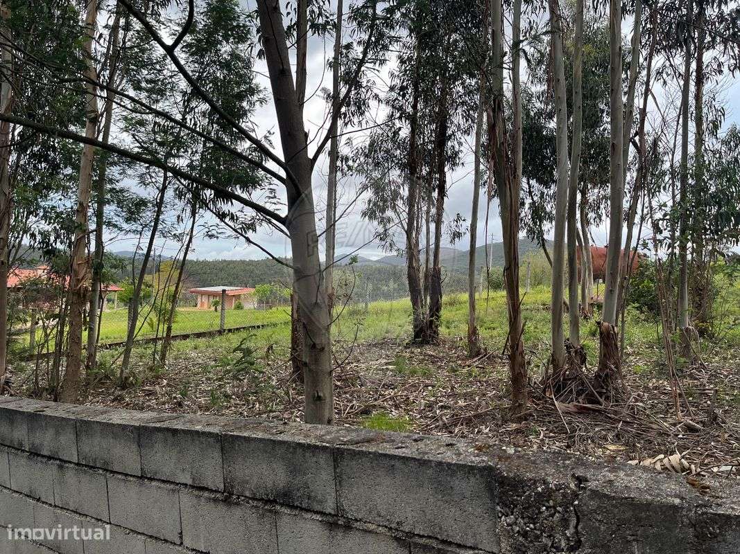 Terreno  para venda - Grande imagem: 4/5