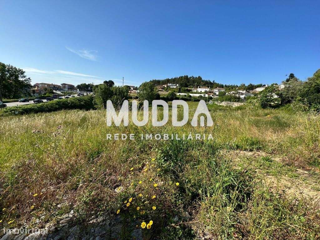 Terreno p/construção em altura - Pinheiro da Bemposta, Oliveira de Aze - Grande imagem: 2/18