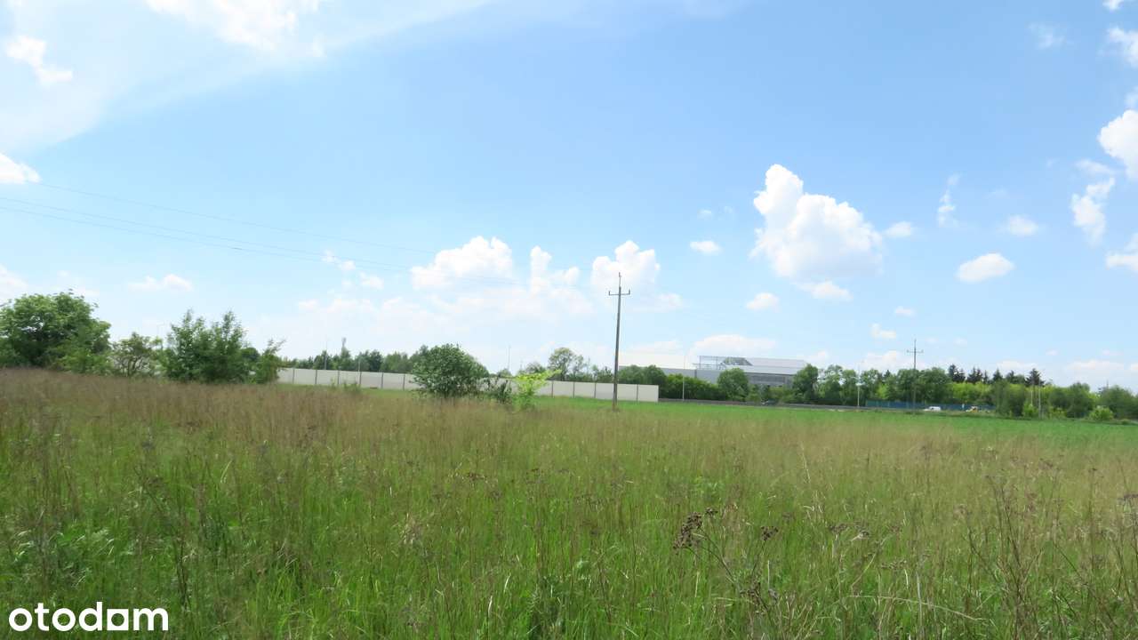 Atrakcyjne, duże działki – południowy Poznań, doskonała komunikacja-5