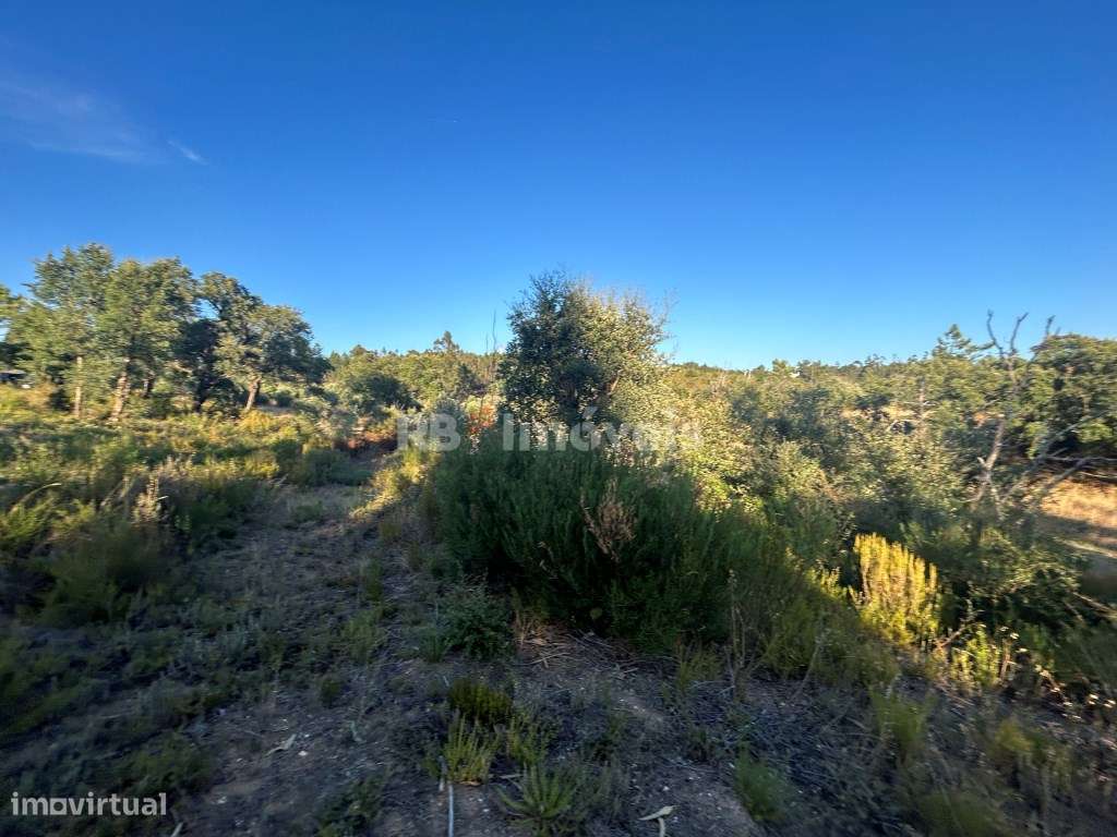 Terreno rústico com 1320m2 - Agroal, Tomar - Grande imagem: 3/5