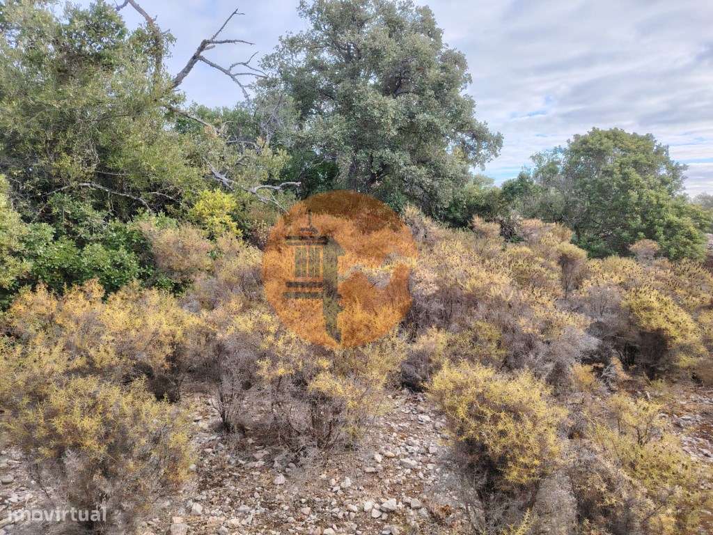 Terreno Rústico, Conceição de Faro - Grande imagem: 2/16