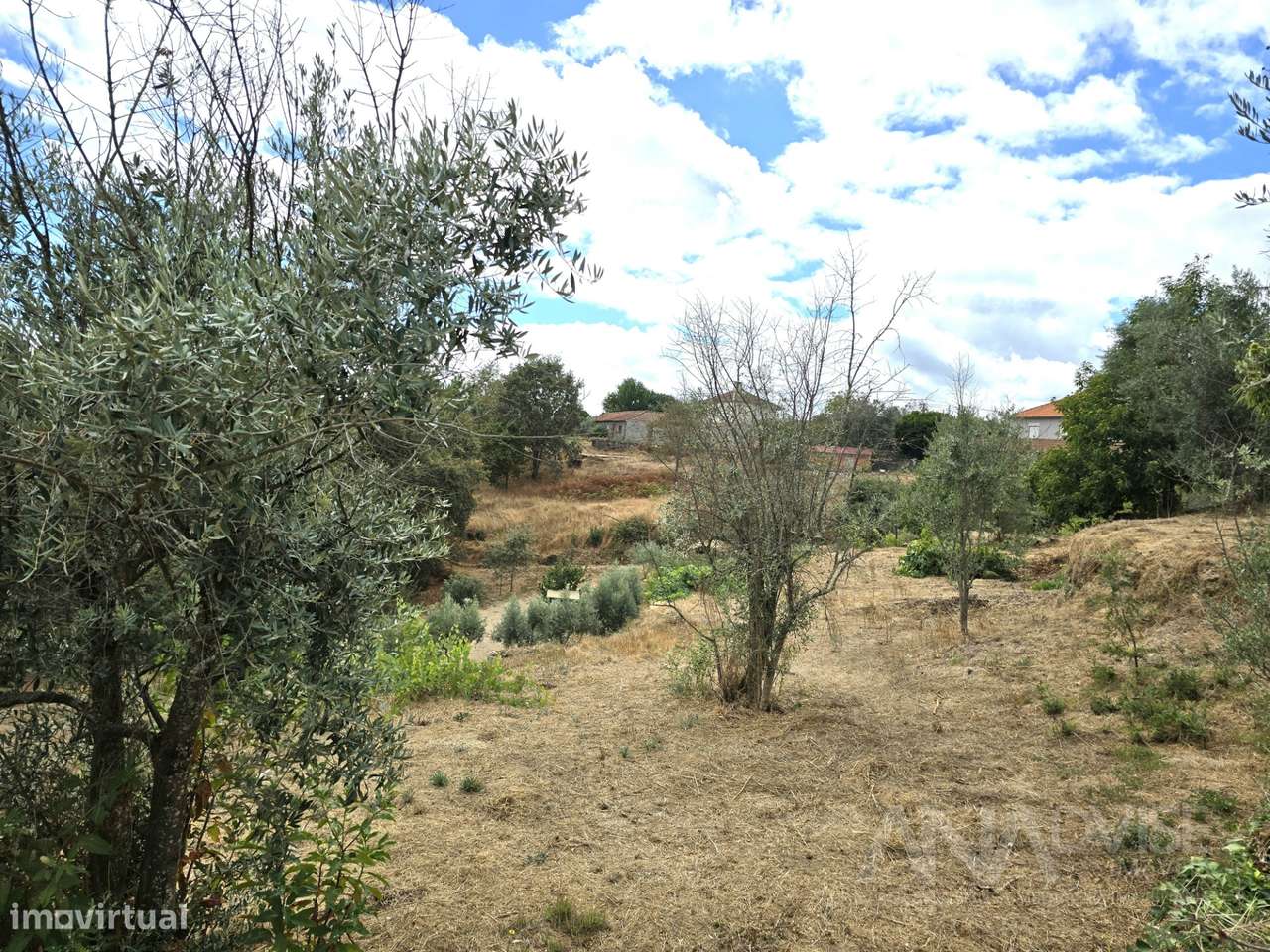 Moradia Isolada T3 Venda em São Pedro de France,Viseu - Grande imagem: 5/28