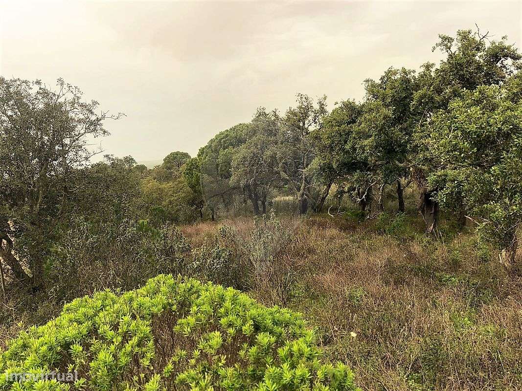 Quinta  para venda - Grande imagem: 3/8