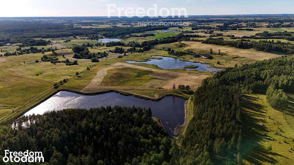 Teren siedliskowy z czterema stawami - pow. 49 ha - Pełny obrazek: 5/15
