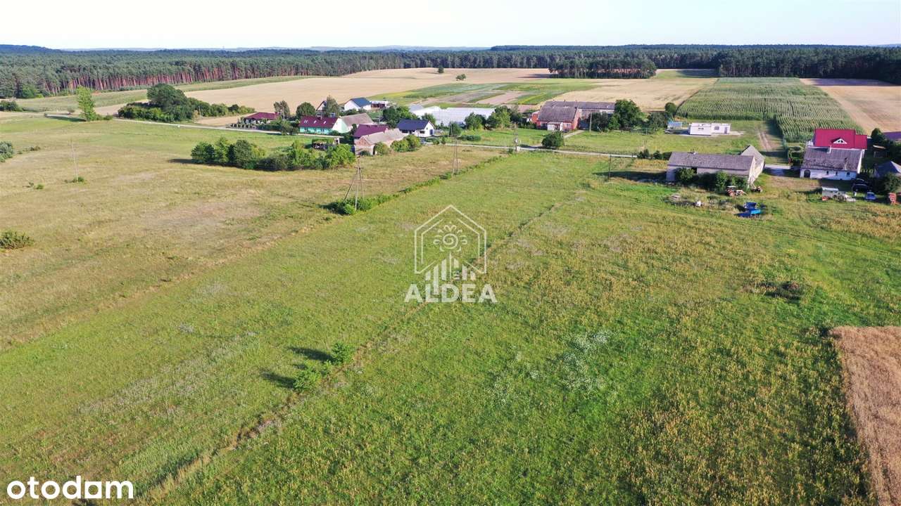Działki od 660 m² do 1011 m² blisko Szubina - Pełny obrazek: 5/7