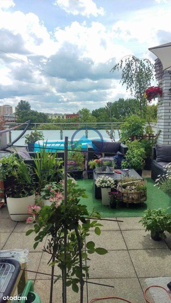 Dom Na Dachu+140M2 Tarasu+Garaż-5