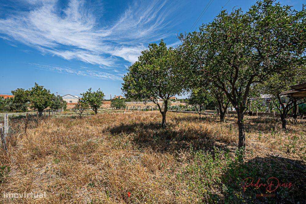 Terreno Urbano com 1017m2  - PROJETO APROVADO - Grande imagem: 2/15