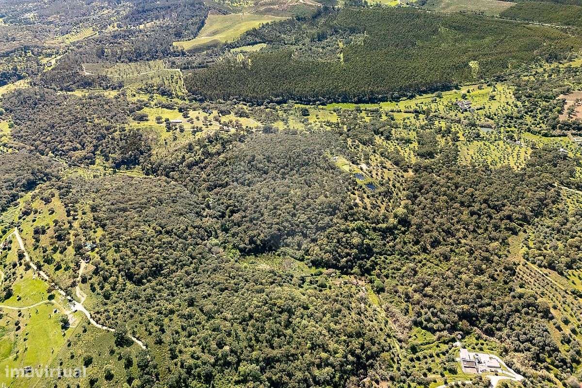 Terreno  para venda - Grande imagem: 3/13