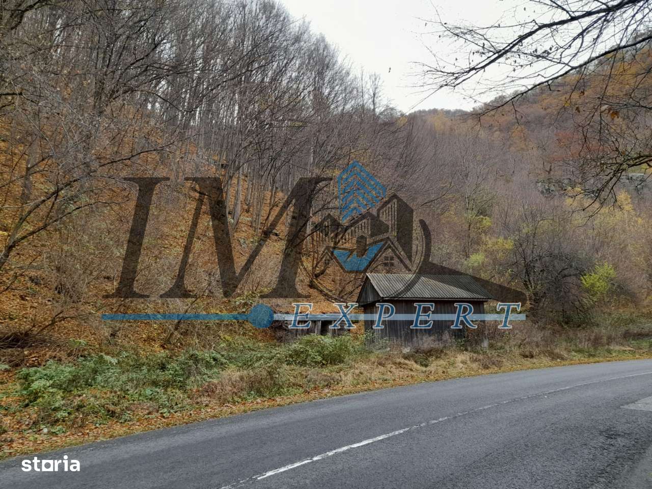 Teren extravilan direct la șoseaua TRANSALPINA - Imagine principală: 2/5