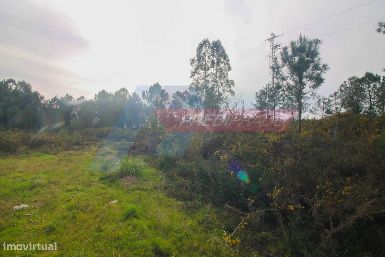 Terreno Industrial na Ucha-3