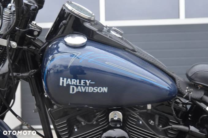 Harley-Davidson Softail Cross Bones - 10