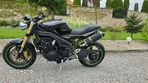 Triumph Speed Triple - 5