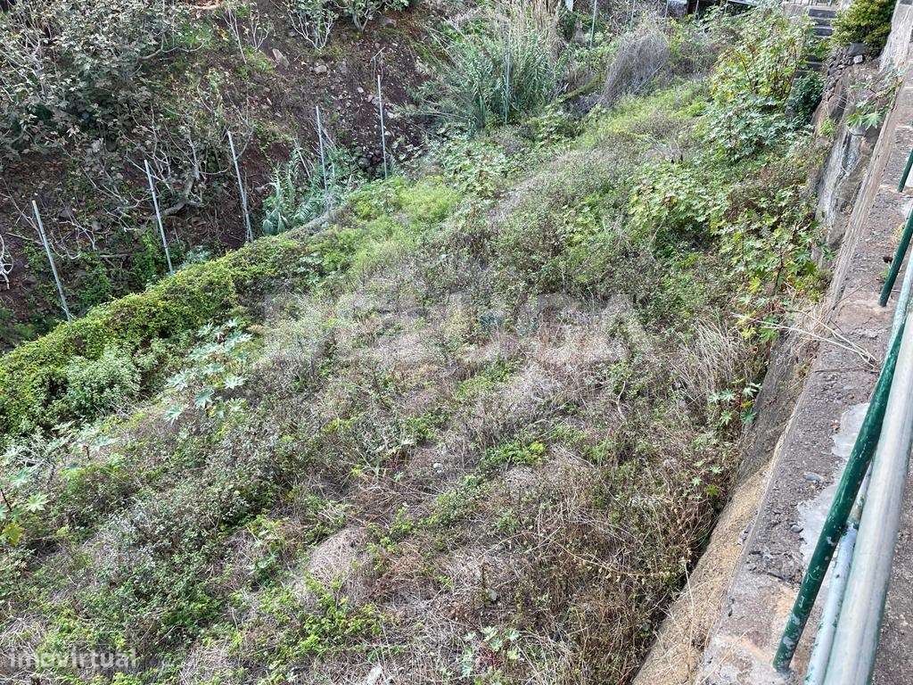 TERRENO COM 2110 m² | CAMINHO DO TERÇO (Cª LOBOS)-32