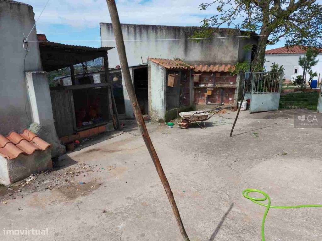 MORADIA EM LOBEIROS, CALDAS DA RAINHA - Grande imagem: 5/7