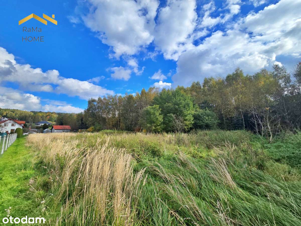 Działa 44,7a z WZ na 3 bliźniaki i dom - Rzeszów - Pełny obrazek: 4/12