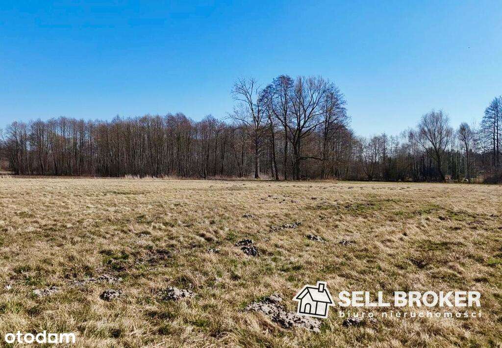 Działka budowlana 5 minut od Mińska Mazowieckiego - Pełny obrazek: 4/4