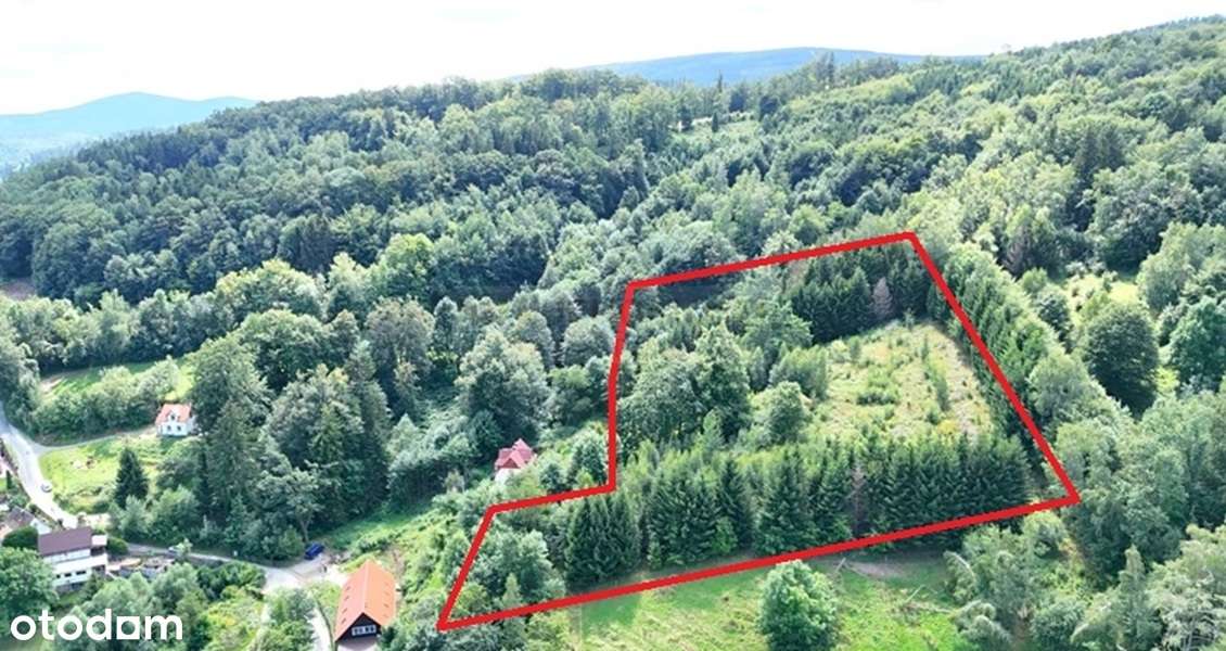Duża działka budowlano-inwestycyjna/Góry Sowie!-11