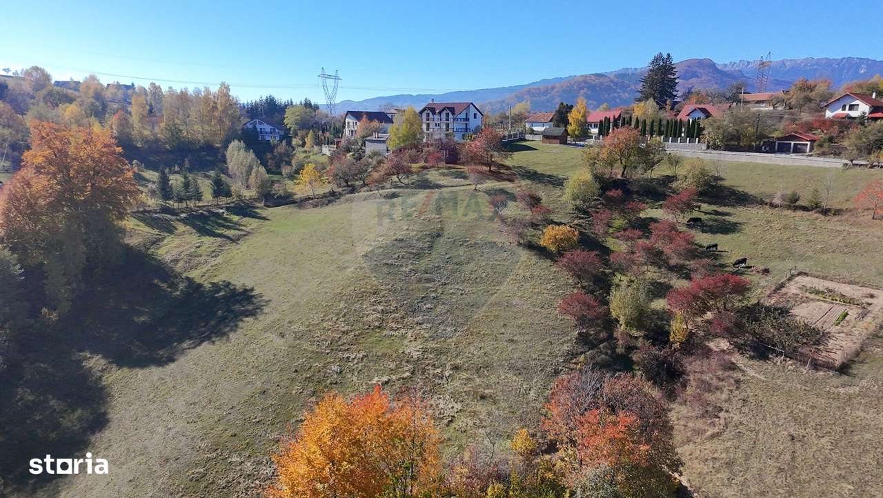 Teren 2,500mp Bran / Strada Bradul Inalt - Imagine principală: 4/9