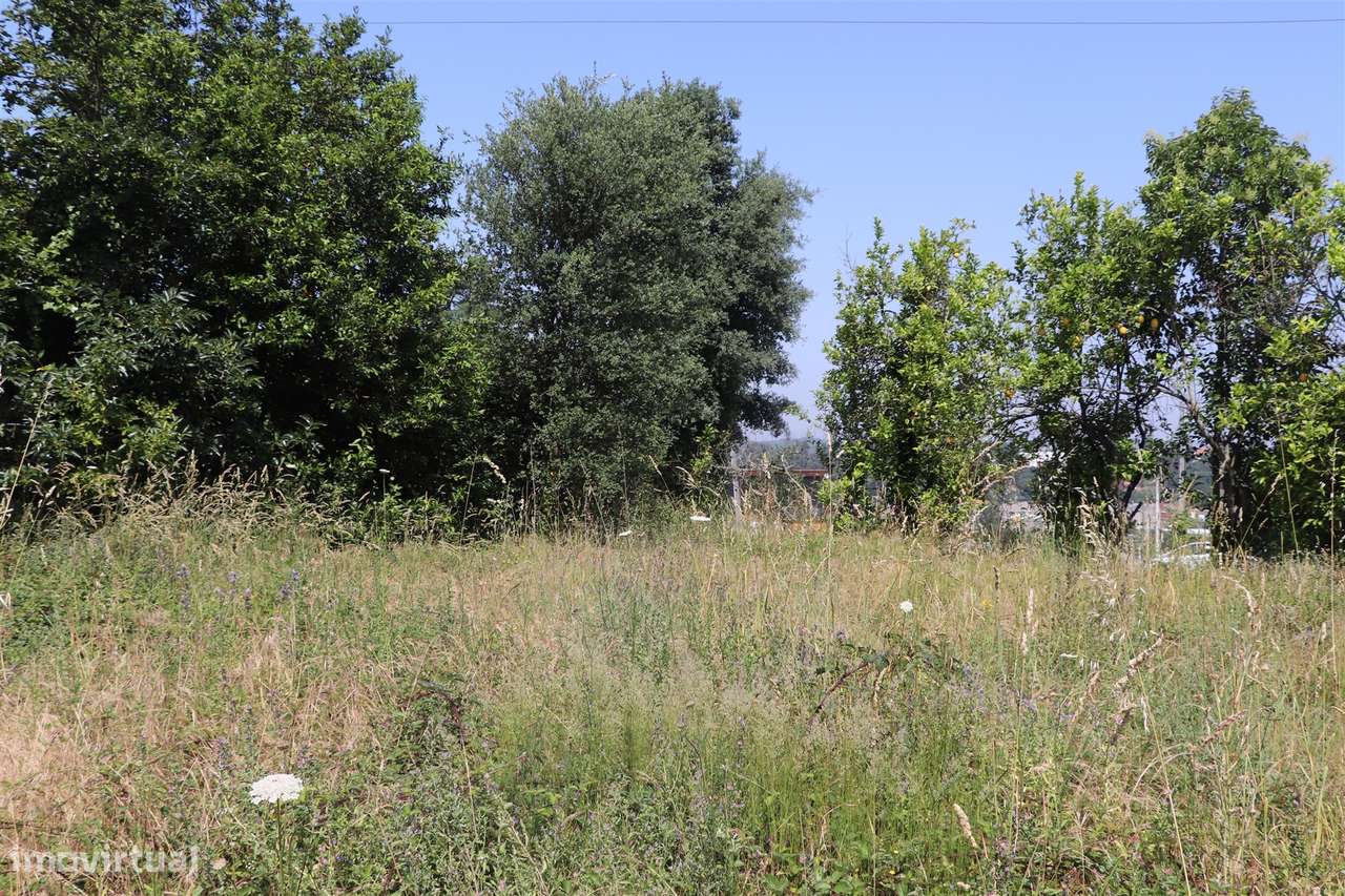 Lote de Terreno  Venda em Campo (São Martinho), São Salvador do Campo - Grande imagem: 5/11