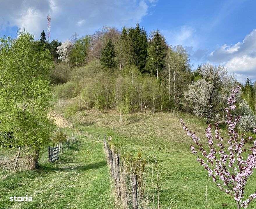 Teren panoramic insorit, utilitati, panta mica si padure, turism sau v-0