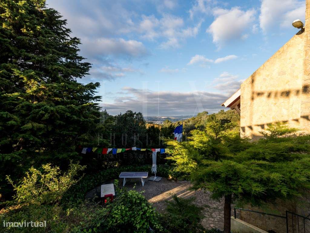 QUINTA COM 22.000 m² E TRÊS MORADIAS EM LOCALIZAÇÃO PRIVILEGIADA DE...-50