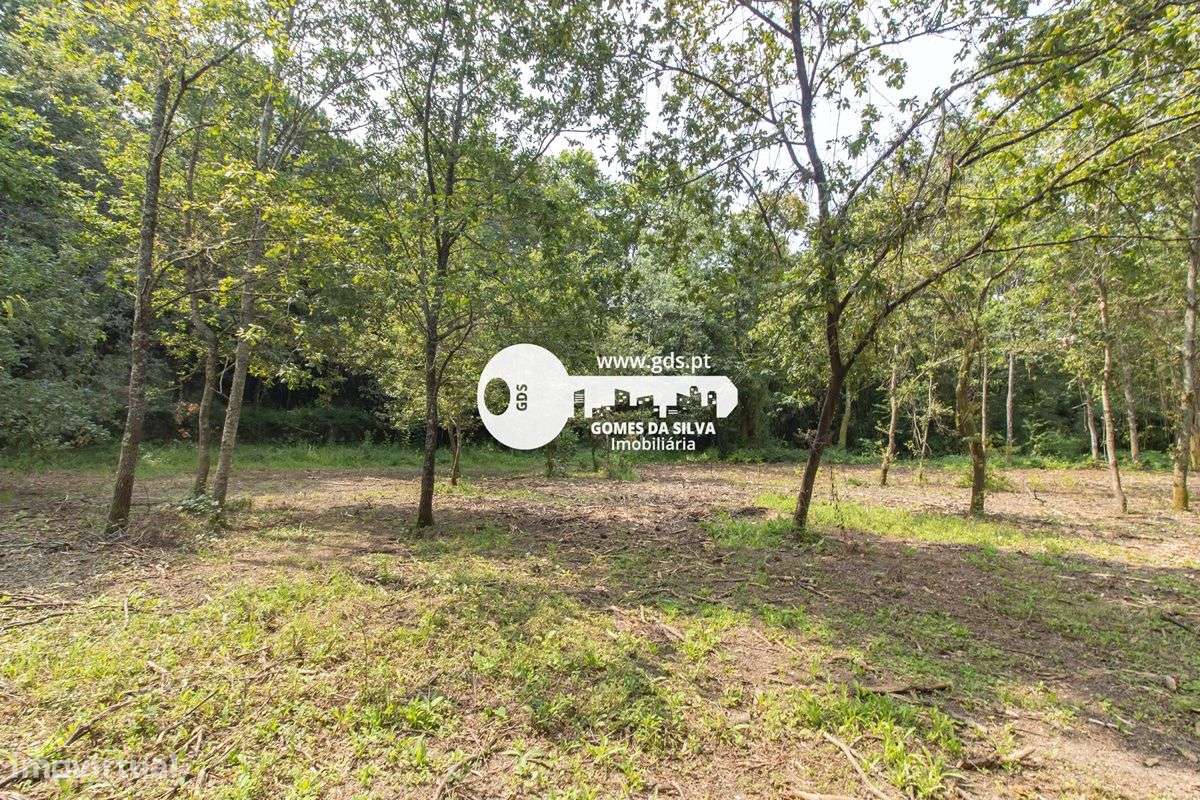 Terreno Rústico c/ cerca de 5000m2 em Celeirós - Grande imagem: 3/16